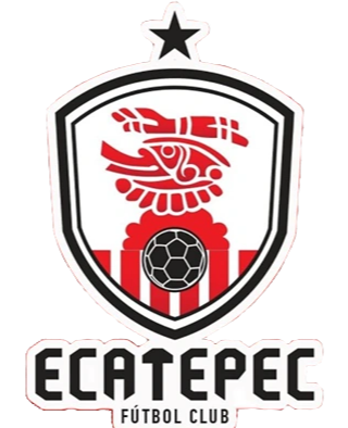 https://img.wxssdsh.com/img/football/team/f8fefa1062b7f72982263757680421c0.png